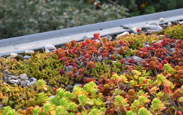 the cost of Haslingden green roof installation