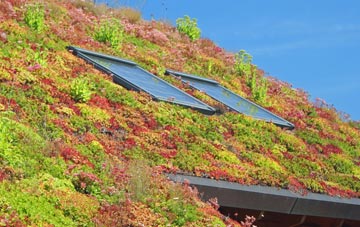 Haslingden living roof systems