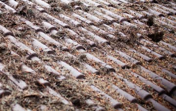 Haslingden roof cleaning companies