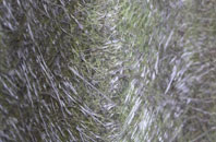 Haslingden fibreglass roof work